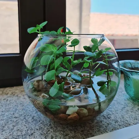 Quinta Da Abadia Mangualde