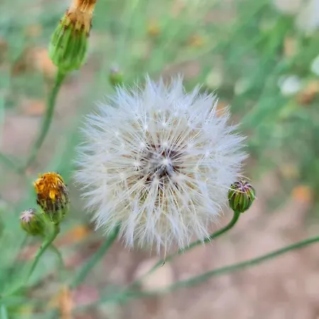 Quinta Da Abadia Ferienpark *