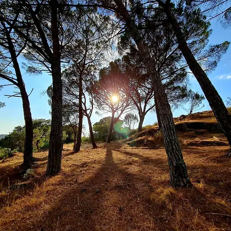 Quinta Da Abadia Holiday park Mangualde