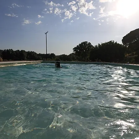 Quinta Da Abadia * Mangualde