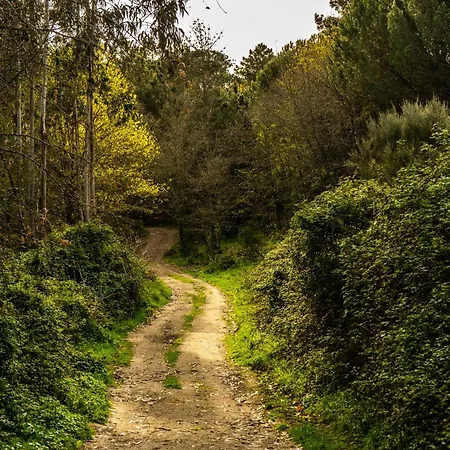 Holiday park Quinta Da Abadia *