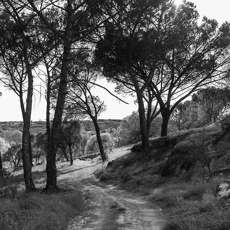 Quinta Da Abadia * Mangualde