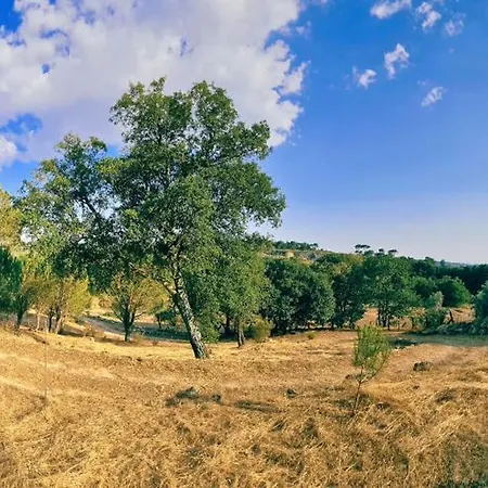 Quinta Da Abadia *