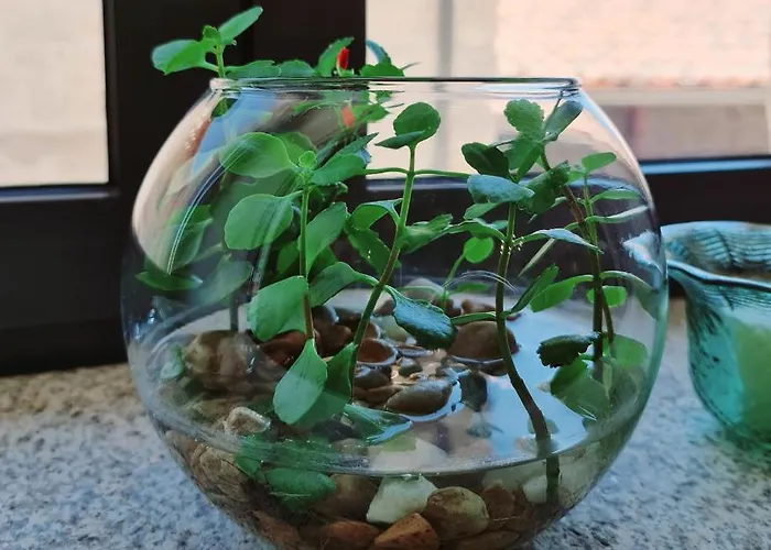 Quinta Da Abadia مانغوالدي