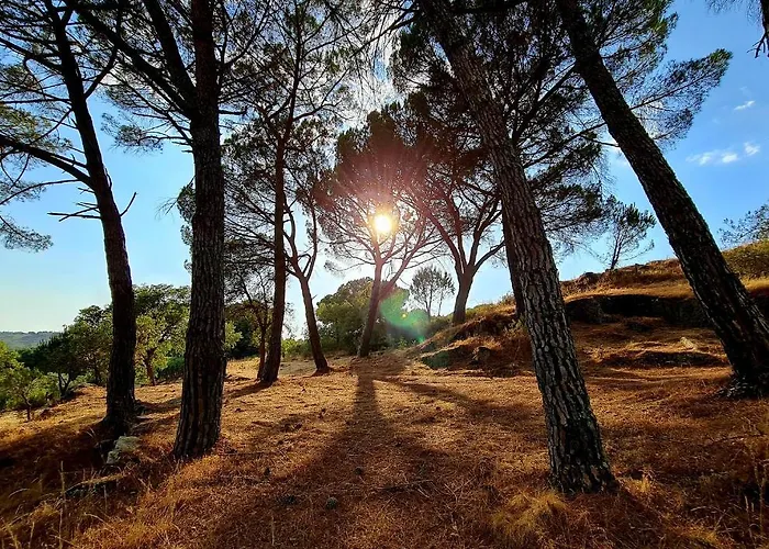 Quinta Da Abadia منتزه العطل مانغوالدي