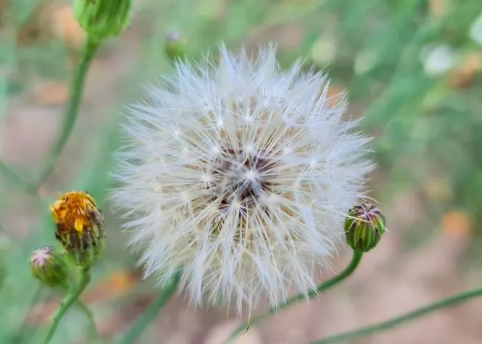 Quinta Da Abadia Feriepark *
